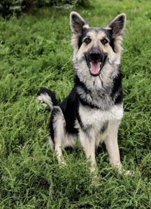 Luna Loftus (Luna)